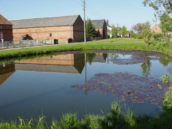 Picture of village pond at Kl