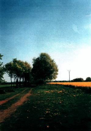 Picture of Brunow countryside