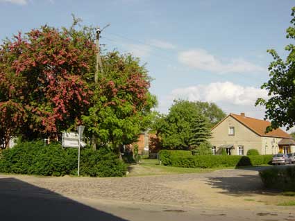 Picture of Friedhofstrasse in Brunow (Spring 2003)