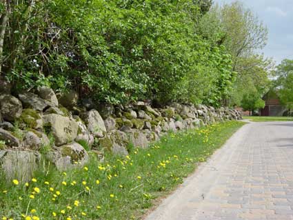Picture of wall on Ziegendorfer Strasse (Spring 2003)