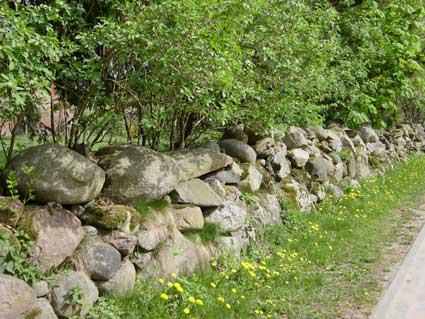 Picture of wall on Ziegendorfer Strasse (Spring 2003)