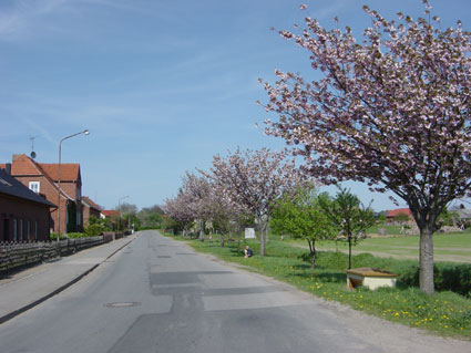 Picture of Dambecker Strasse (Spring 2003)