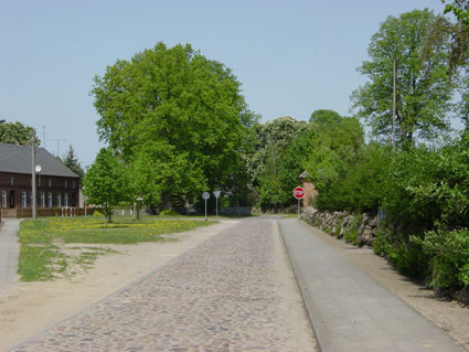 Picture of Ringstrasse at the Church (Spring 2003)