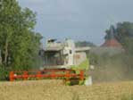 Picture of combine harvesting grain at Brunow