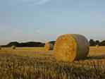 Picture of straw bales after the harvest at Brunow