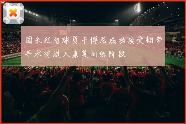 国米租借球员卡博尼成功接受韧带手术将进入康复训练阶段