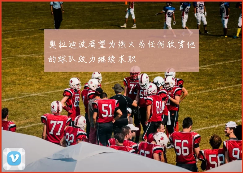 奥拉迪波渴望为热火或任何欣赏他的球队效力继续求职